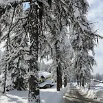 Alpendomizil Apfel * Mühlbach am Hochkönig