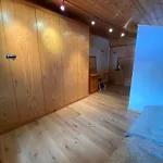 Alpendomizil Apfel * Mühlbach am Hochkönig