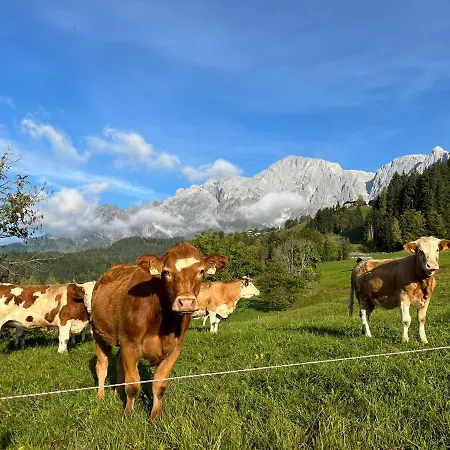 Appartement Alpendomizil Apfel Mühlbach am Hochkönig