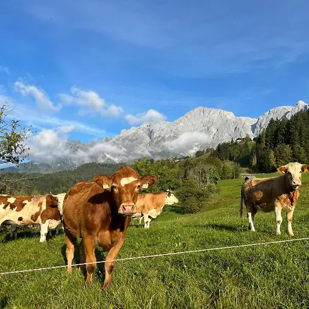 Apartment Alpendomizil Apfel Mühlbach am Hochkönig