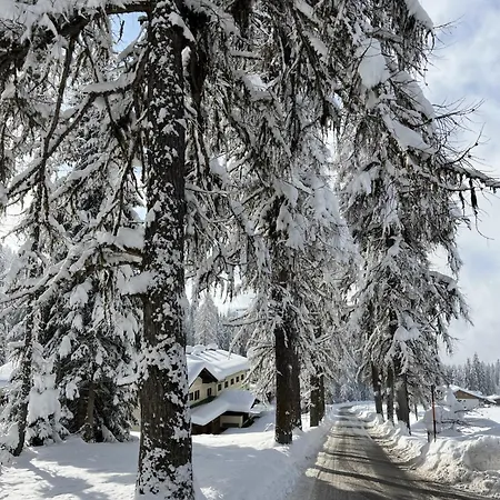 Alpendomizil Apfel * Mühlbach am Hochkönig