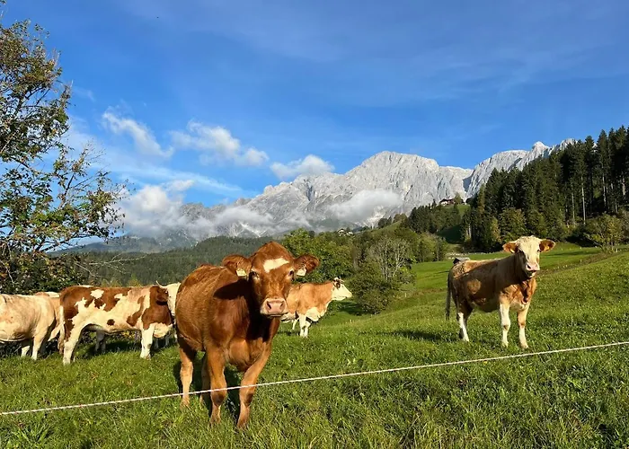 Appartement Alpendomizil Apfel Mühlbach am Hochkönig