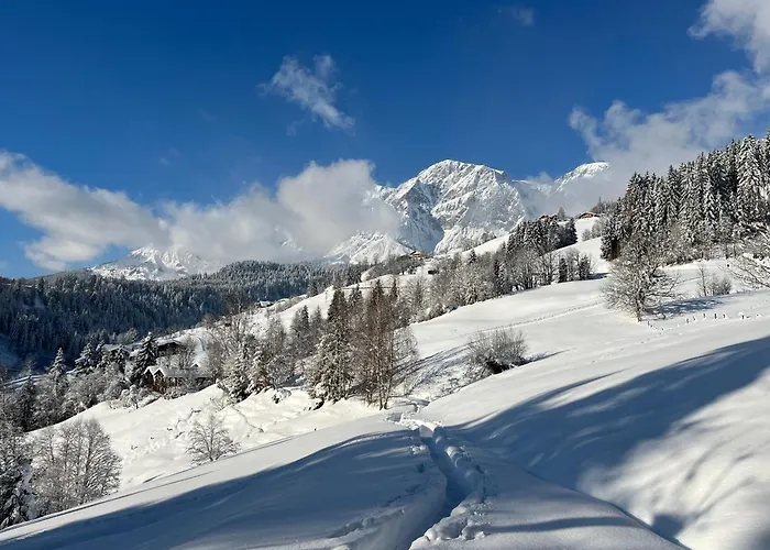 Alpendomizil Apfel Apartment *