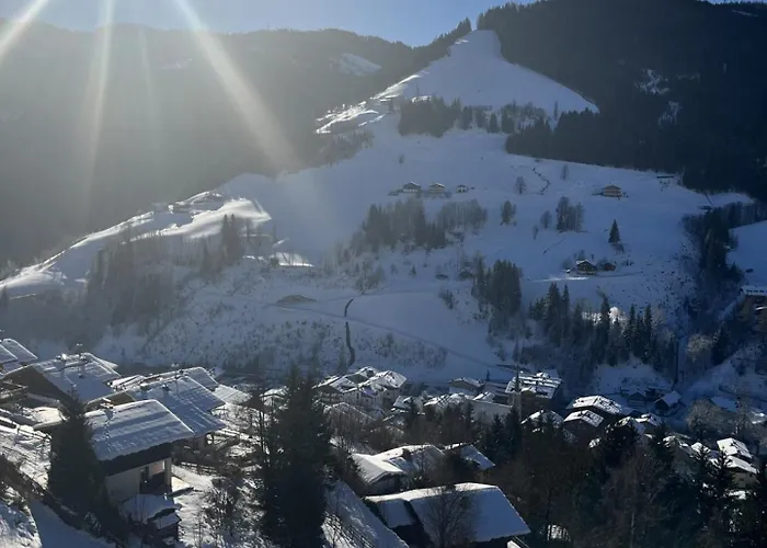 Appartement Alpendomizil Apfel Mühlbach am Hochkönig