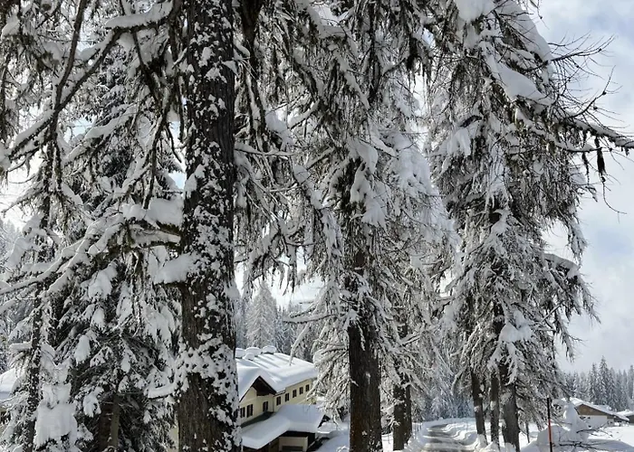 Alpendomizil Apfel * Mühlbach am Hochkönig